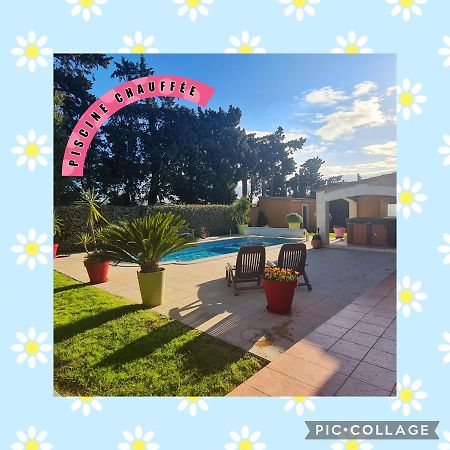 Villa Flamenca - Piscine Chauffee Châteaurenard Eksteriør bilde